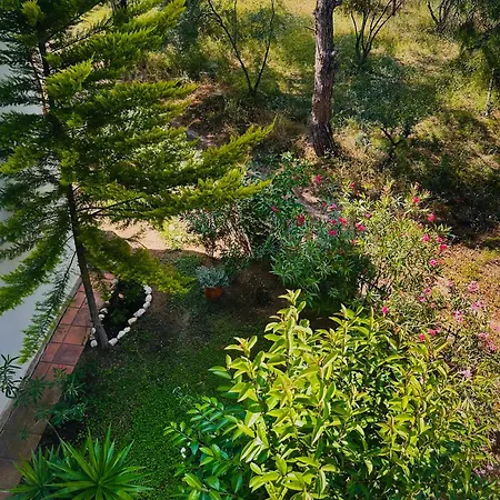 Pinewood -chalkidiki شقة