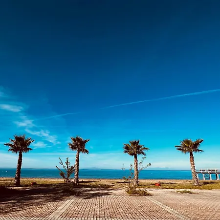 Apartamento Pinewood -chalkidiki Psakoudia
